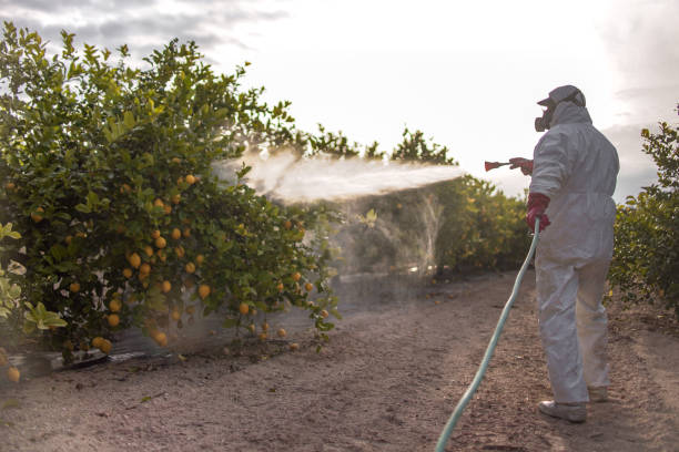 Best Residential Pest Control  in Stamford, CT