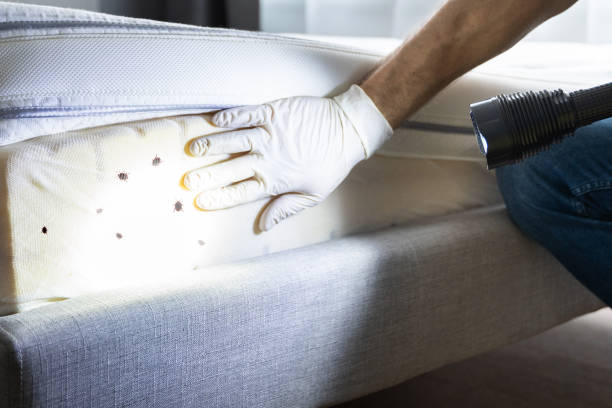 Best Affordable Pest Control Services  in Stamford, CT